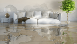 Houston Flood Restoration Services | Romans Mitigation and Restoration