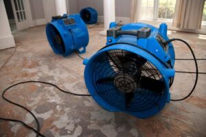 Water Damage Restoration Houston: Expert Solutions and Services