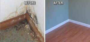 Water Damage Repair Near You in Texas City