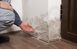 Water Damage Repair Near You in Texas City